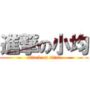 進撃の小均 (attack on titan)