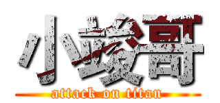 小竣哥 (attack on titan)
