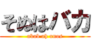 そぬはバカ (akab ah unos)