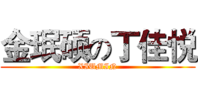 金珉硕の丁佳悦 (XIUMIN)