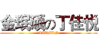 金珉硕の丁佳悦 (XIUMIN)