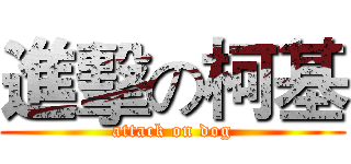 進擊の柯基 (attack on dog)