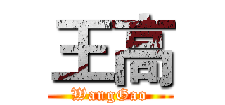 王高 (WangGao)
