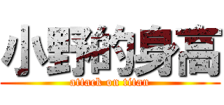 小野的身高 (attack on titan)