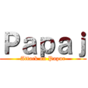 Ｐａｐａｊ (Attack on Papur)