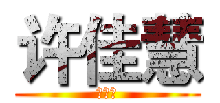 许佳慧 (许佳慧)