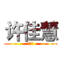 许佳慧 (许佳慧)