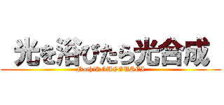  光を浴びたら光合成  (NothiKOUGOUSEI)