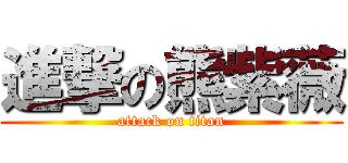 進撃の熊紫薇 (attack on titan)