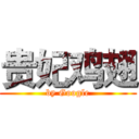 贵妃鸡翅 (by Google)