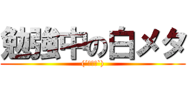 勉強中の白メタ ((´・ω・`))