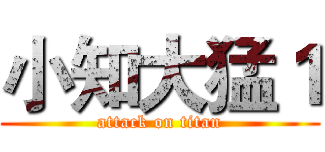 小知大猛１ (attack on titan)