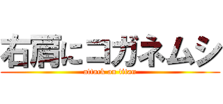 ⭐︎特選⭐︎ ライオンコガネ　標本 立派な立て髪を持つライオンコガネ【標本】 - メルカリ