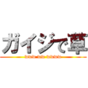 ガイジで草 (www ww wwww)