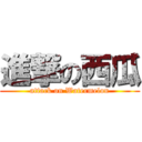 進撃の西瓜 (attack on Watermelon)