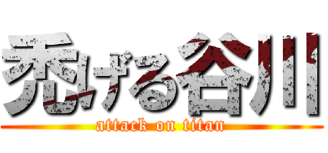 禿げる谷川 (attack on titan)