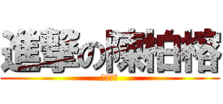 進撃の陳柏榕 (不要多問)