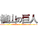 植山の巨人 (attack on titan)