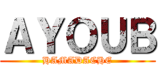 ＡＹＯＵＢ (HAMADACHE)