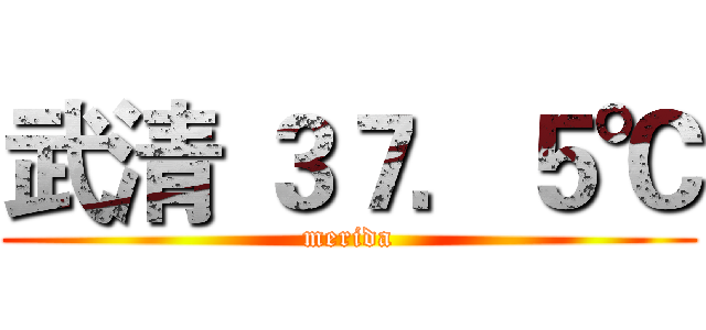 武清 ３７．５℃ (merida)
