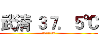 武清 ３７．５℃ (merida)
