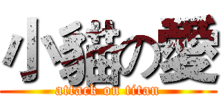 小貓の愛 (attack on titan)