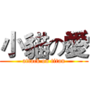 小貓の愛 (attack on titan)