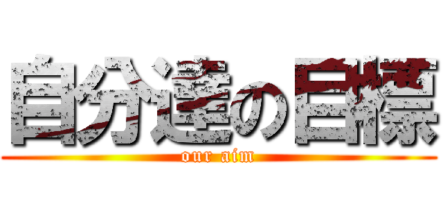自分達の目標 (our aim)