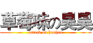 草莓味の昊昊 (attack on haohao)