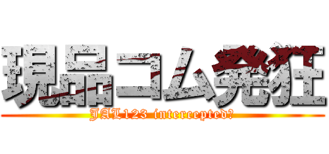 現品コム発狂 (JAL123 intercepted?)