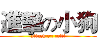 進擊の小狗 (attack on miti)