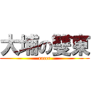 大埔の雙東 (racer)