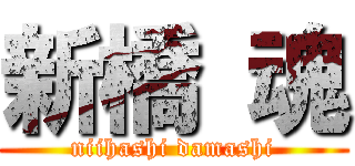 新橋 魂 (niihashi damashi)