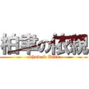 柏聿の依親 (Show & Kiss)