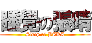 睡覺の張晴 (Sleep of BAKA)