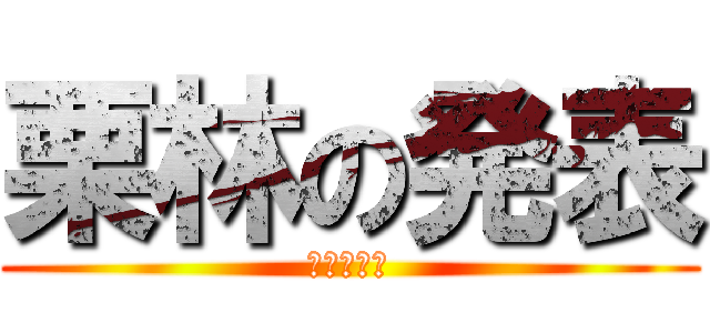 栗林の発表 (１７年ゼミ)