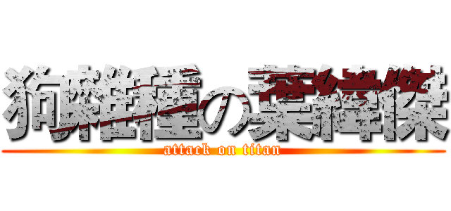 狗雜種の葉緯傑 (attack on titan)