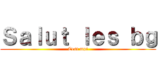 Ｓａｌｕｔ ｌｅｓ ｂｇ (Cest moi)