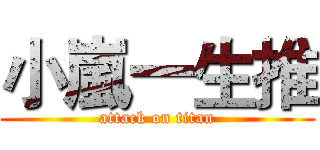 小嵐一生推 (attack on titan)