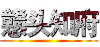 戆头知府 ()