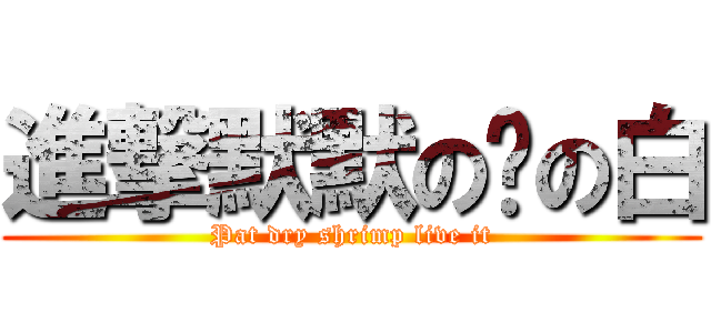 進撃默默の貓の白 (Pat dry shrimp live it)