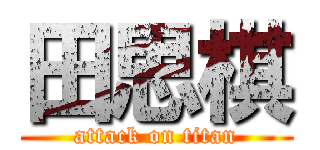 田思棋 (attack on titan)