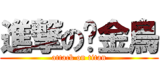 進撃の黃金鳥 (attack on titan)