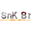 ＳｎＫ Ｂｒ ()