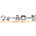 ウォールローゼ ( wall rose)