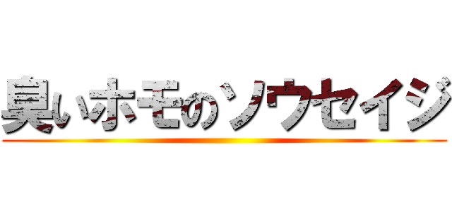 臭いホモのソウセイジ ()