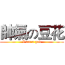 帥氣の豆花 (I am a god)