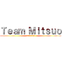 Ｔｅａｍ Ｍｉｔｓｕｏ (2016 VP)