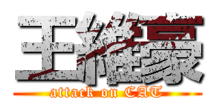 王維豪 (attack on CAT)