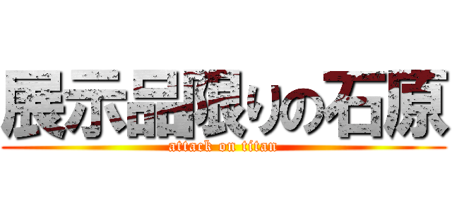 展示品限りの石原 (attack on titan)